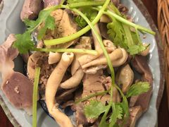 -九斤黄三黄鸡专卖店