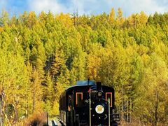 -莫尔道嘎国家森林公园