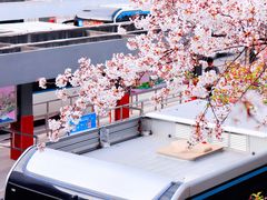 -南浦大桥长途旅游客运站