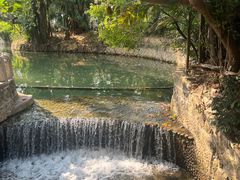 -荔枝公园(福田区)