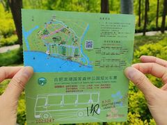 -合肥滨湖国家森林公园