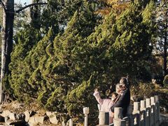 -近春园遗址