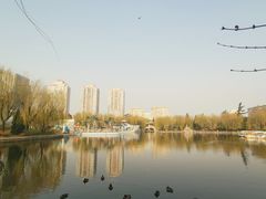 -团结湖公园