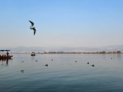 -西昌邛海湿地