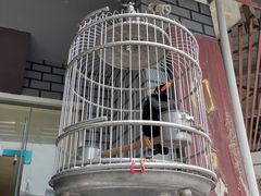 -六朝居老面馆(同鑫宾馆店)