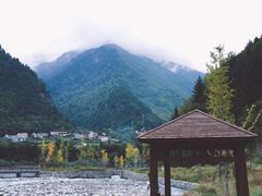 -金鼎雪山牦牛杂火锅(理县总店)