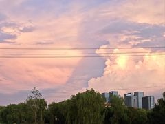 -西山漾湿地公园