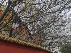 -白帝城·瞿塘峡景区