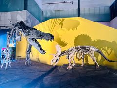 -湖南省地质博物馆