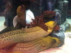 -上海海洋水族馆-停车场