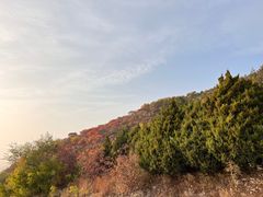 -北京西山国家森林公园