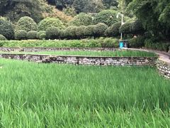 -龙头寺公园