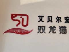 -艾贝尔宠物医院·24H转诊中心·肿瘤猫专科(江宁双龙店)