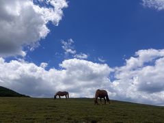 -灵山