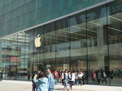 -Apple零售店(中街大悦城店)