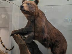 -国家自然博物馆