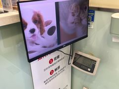 -悦宠凯宝动物医院·牙科·皮肤科(朝阳北路店)