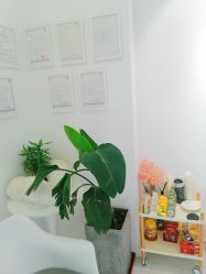 -紫御国际抗衰ZOE ANTI AGING