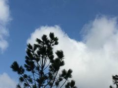 -艾溪湖湿地公园