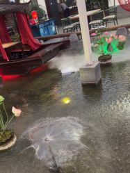 -特味村·宴会厅(生态园店)