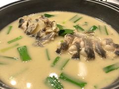 -天怡·鱼工厂(梅溪湖店)