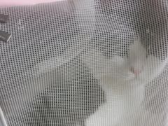 -美美宠物诊疗中心·异宠·骨科(滨江东信分院)
