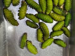 -老妈疙瘩汤·平价海鲜专门店·老威海菜(渔港路店)