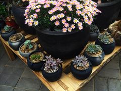 -瓦库茶馆17号(海汇港店)