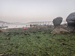 -黑石礁公园