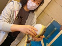 -天正河鲀·河豚亭(大连店)