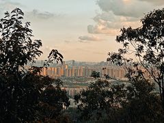 -火炉山森林公园