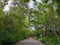-黑龙江省森林植物园