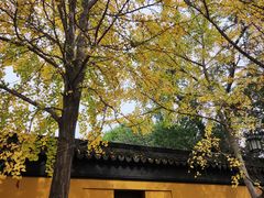 -西园戒幢律寺