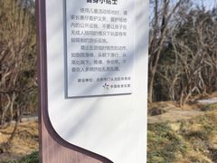 -滨河世纪广场公园