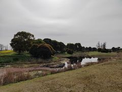 -漕湖湿地公园