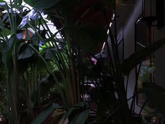 -炉之恋LUZHILIAN(芙蓉汉城总店)