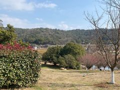 -龙寺生态园