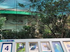 -九龙公园