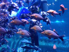 -华夏文旅海洋公园