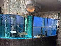 -王家渡火锅店(棕榈泉店)