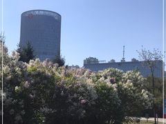 -群力丁香公园