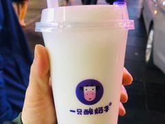 -一只酸奶牛(八一路店)