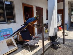 -观桥阁(锦溪店)