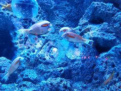 -成都浩海立方海洋公园