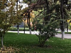 -北京邮电大学