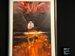 -罗红摄影艺术馆