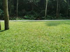 -火炉山森林公园