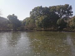 -白马涧龙池景区