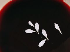 -九鼎轩脆毛肚火锅(三钢里店)