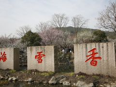-香雪海
